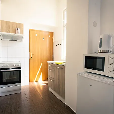 Apartment Komfortni 2luzkovy V Centru Plzne