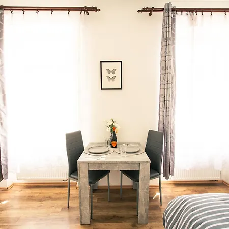 Apartment Komfortni 2luzkovy V Centru Plzne Plzen