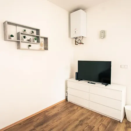 Komfortni 2luzkovy V Centru Plzne * Pilsen