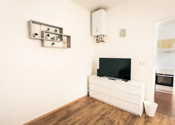 Komfortní 2lůžkový V Centru Plzně * Plzeň