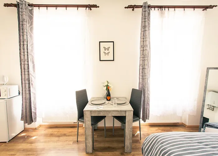 アパート Komfortni 2luzkovy V Centru Plzne プルゼニ